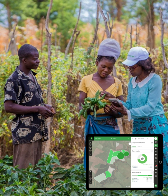 primary-production-systems