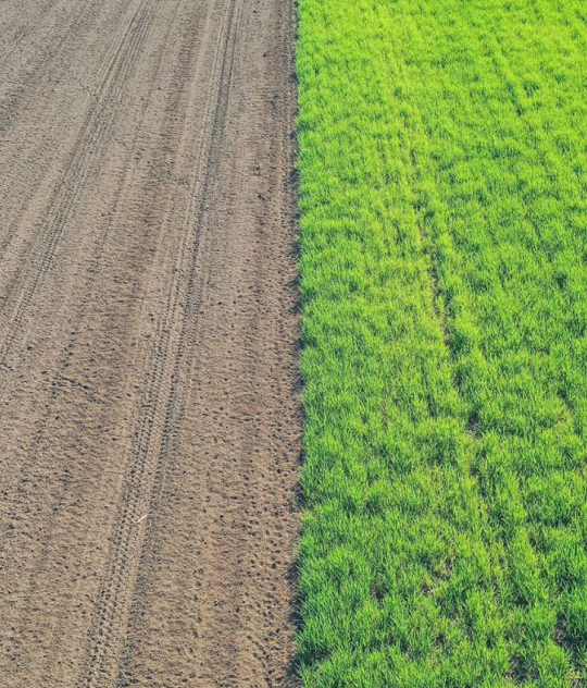 transition-through-tTransparency